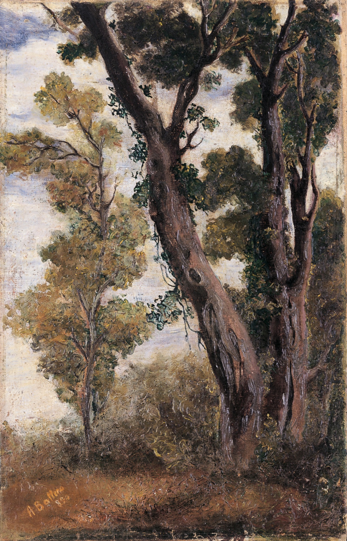 Antonio Ballero, Paesaggio con alberi, 1890,  Ph. Confinivisivi - Pierluigi Dessì