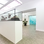 Michel Blazy. Living room”, Museo MAN, 26 febbraio -10 aprile 2016. Installation view