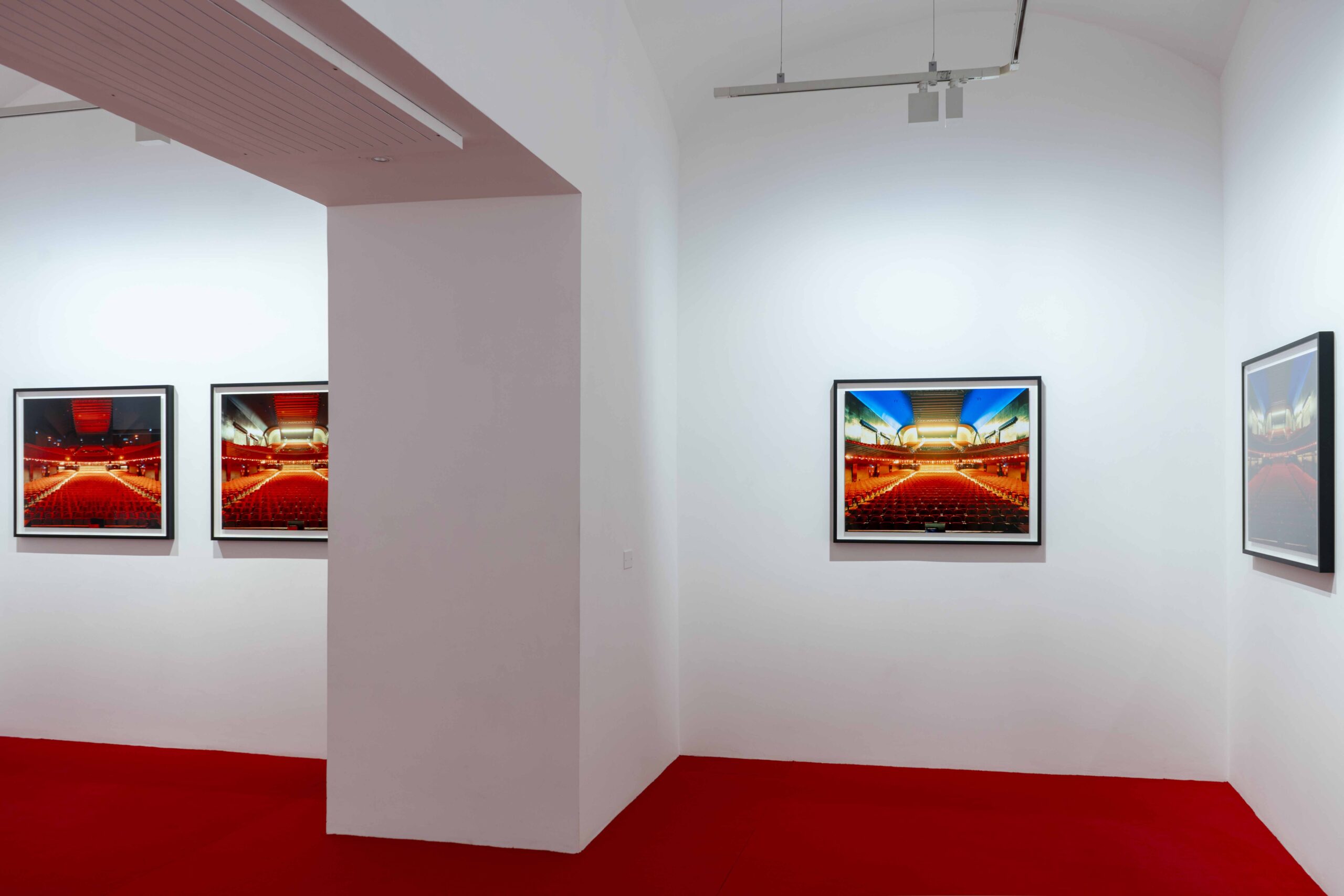 Una galleria d'arte con tappeto rosso e fotografie incorniciate appese al muro.