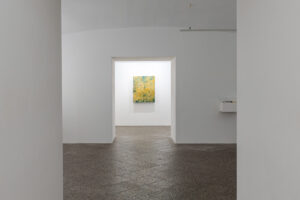 Allestimento mostra Monte Verità