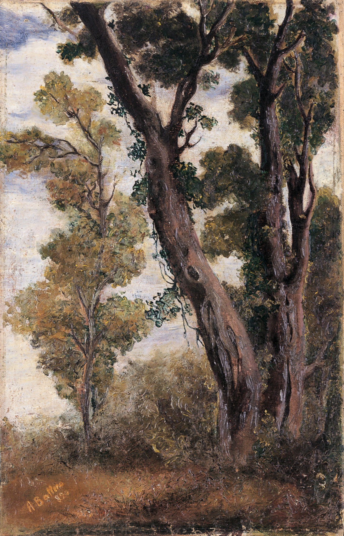 Antonio Ballero Paesaggio con alberi 1890 olio su tela
