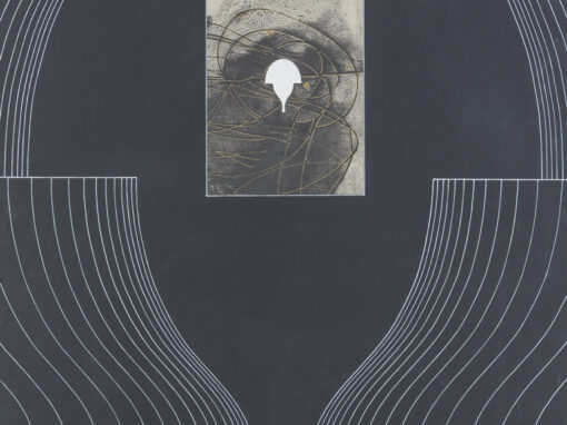 Presenza, espansione, sparizione