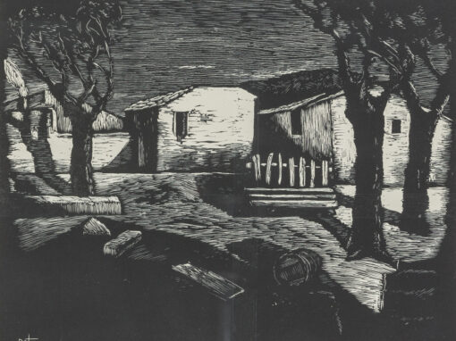 Nel cortile di casa mia