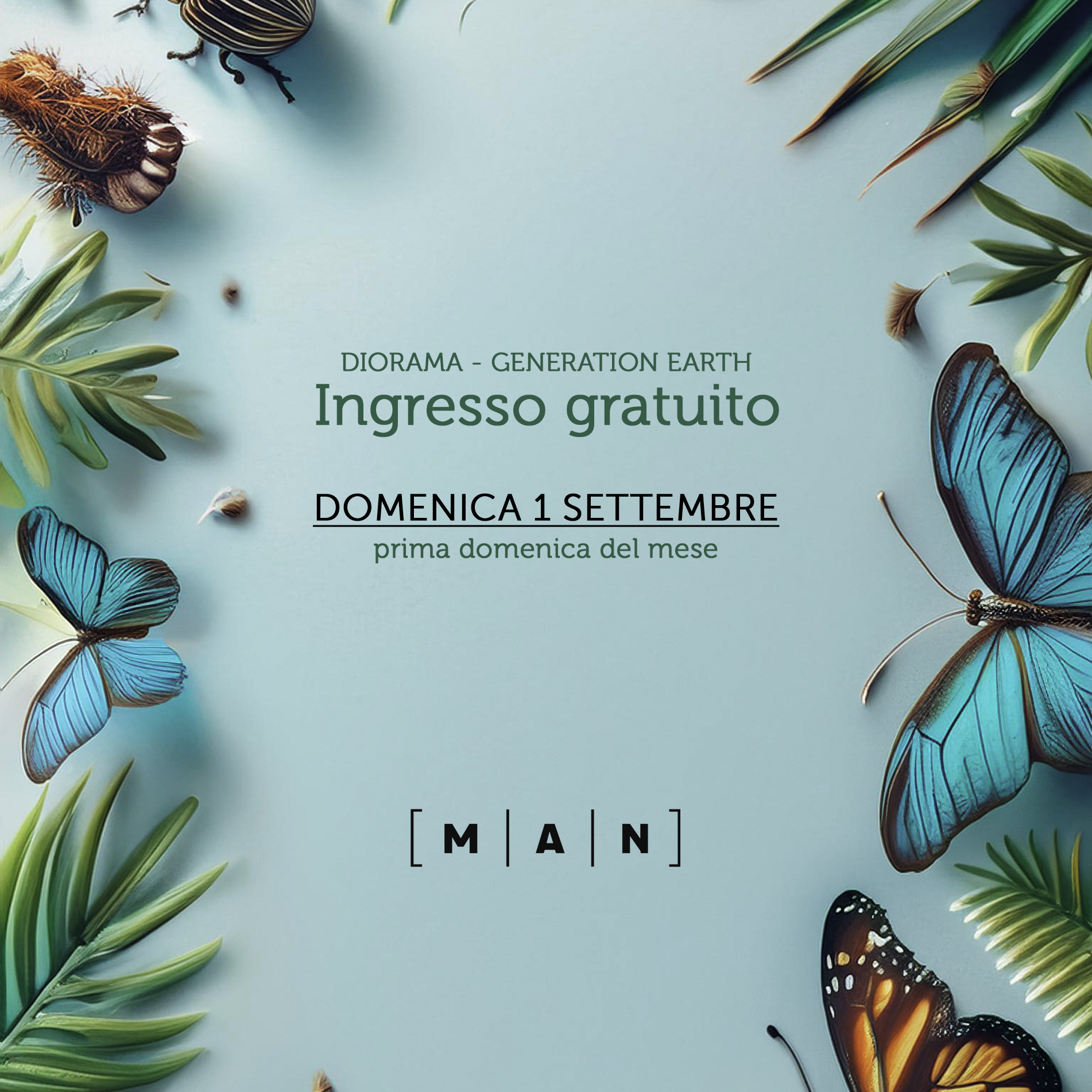Domenica gratuita quadrato ingresso grautito domenica 1 settembre