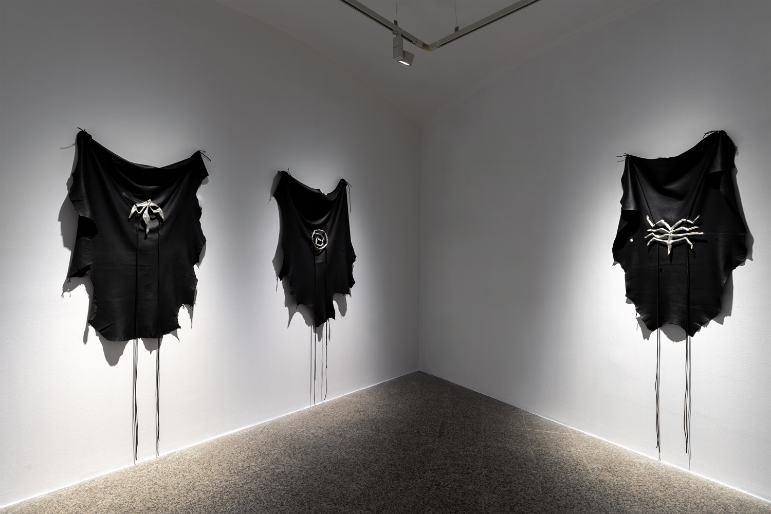 Una Szeemann. Scenafenomenica